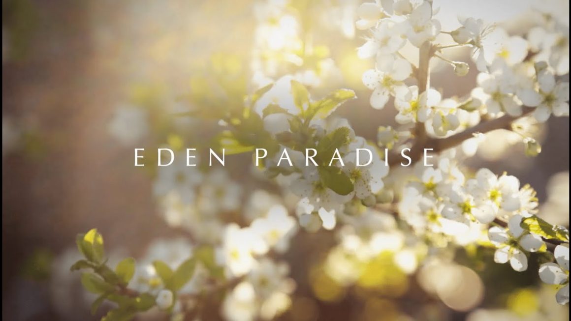 Eden Paradise